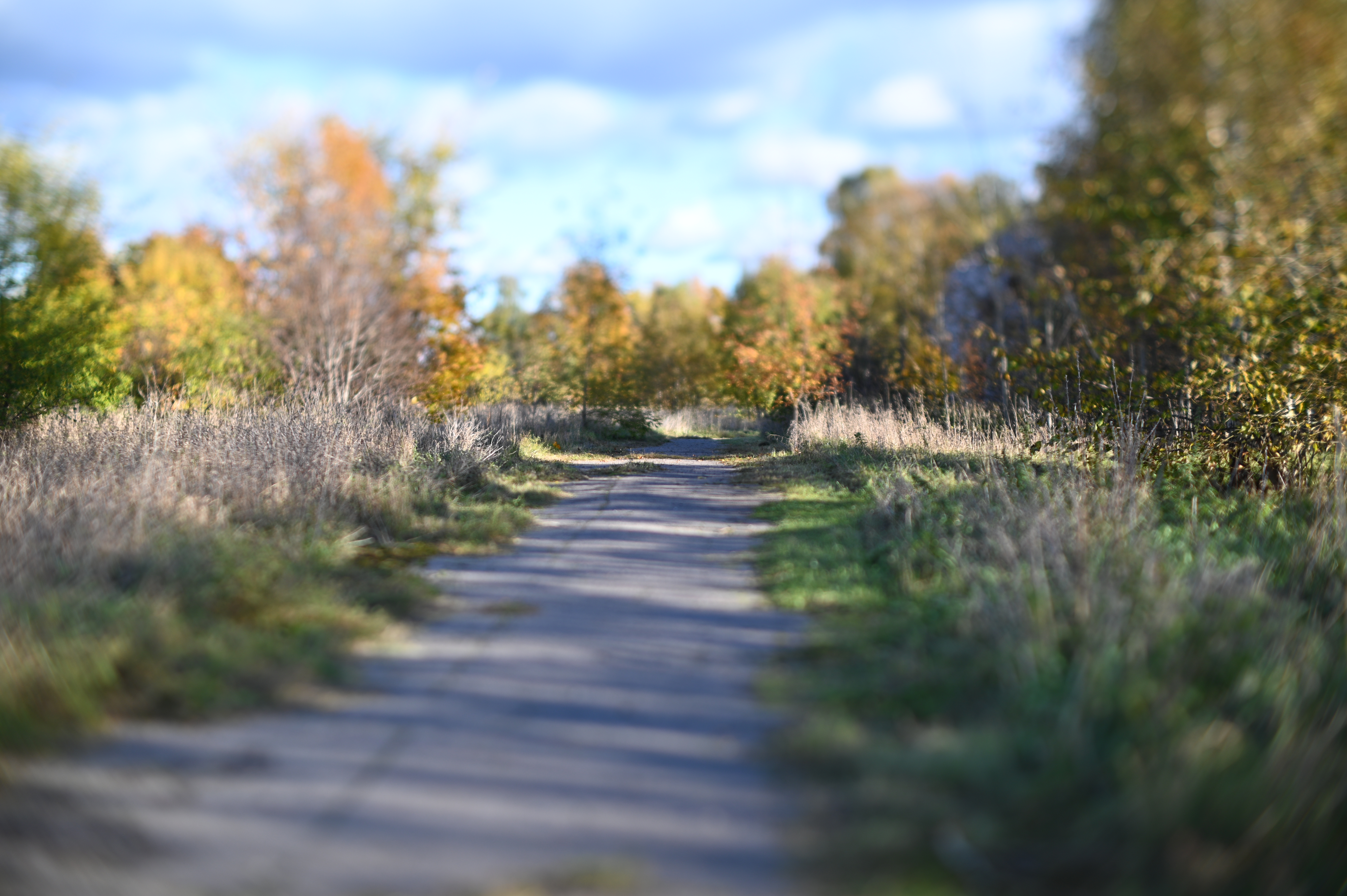 2025/10/18 - walk/DSC_0064.JPG